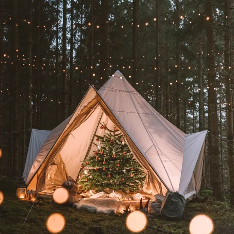 Glamping Tent in Forest